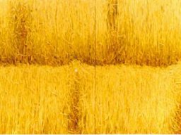 Sunny rhythm IV  80x200 cm